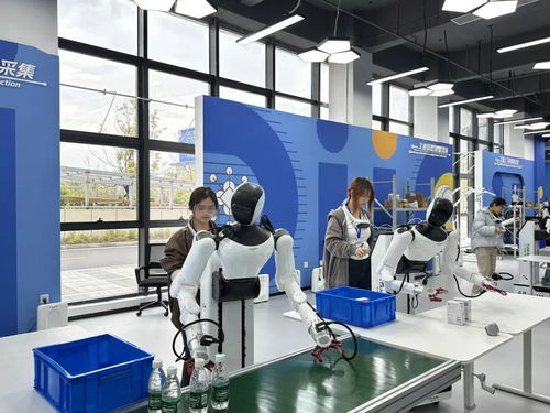 填補領域空白 上饒具身智能數據產業創新中心正式揭牌運營